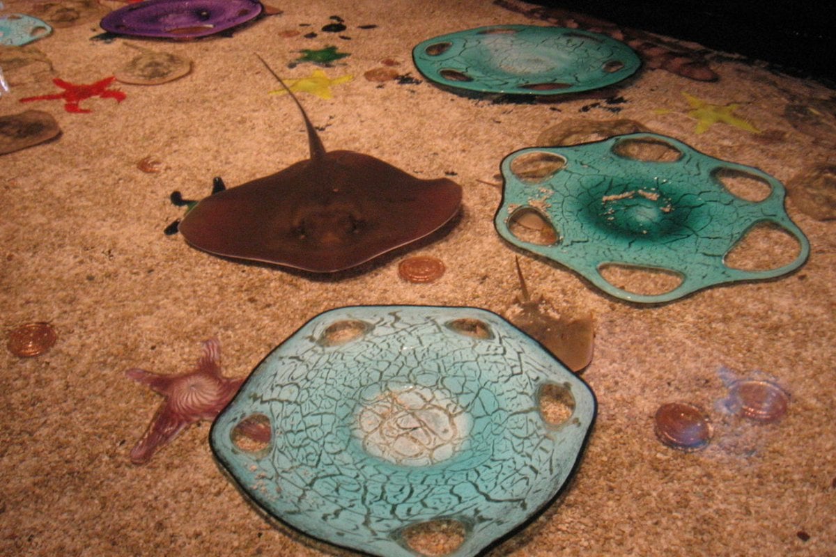 Oregon Coast Aquarium - Gallery Image 2